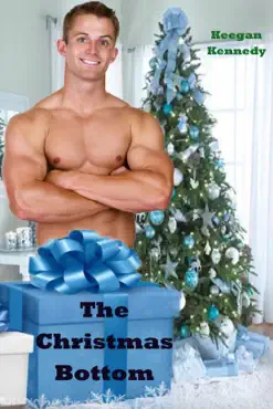 the christmas bottom book cover image