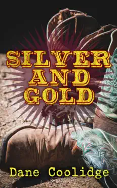 silver and gold book cover image