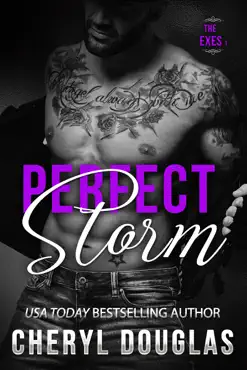 perfect storm (second chance romance) book cover image
