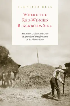 where the red-winged blackbirds sing book cover image