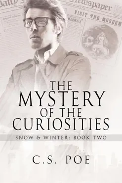 the mystery of the curiosities book cover image