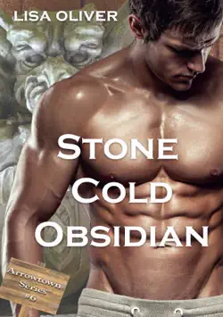 stone cold obsidian book cover image