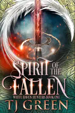 spirit of the fallen book cover image