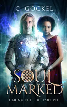 soul marked book cover image