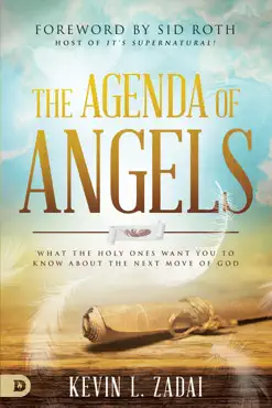 the agenda of angels book cover image