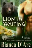 Lion in Waiting synopsis, comments