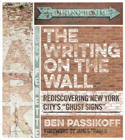 the writing on the wall book cover image