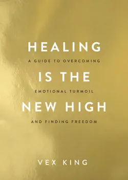 healing is the new high book cover image