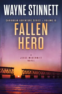 fallen hero book cover image
