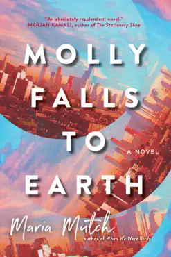 molly falls to earth book cover image