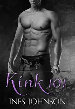 kink 101 book cover image