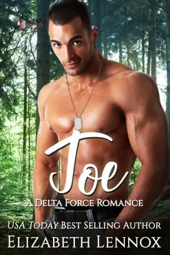 joe book cover image