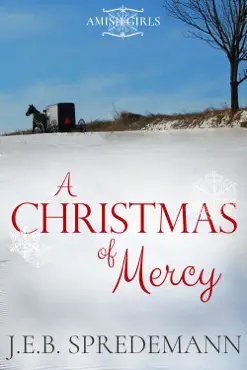 a christmas of mercy (amish girls holiday) book cover image