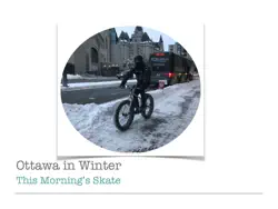 skating the rideau canal book cover image