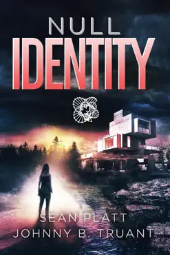 null identity book cover image