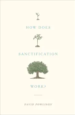 how does sanctification work? book cover image