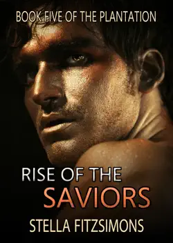 rise of the saviors book cover image