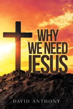 why we need jesus book cover image