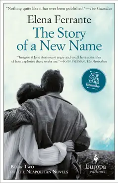 the story of a new name book cover image