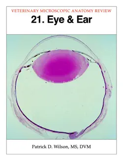 eye & ear book cover image