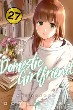 domestic girlfriend volume 27 book cover image