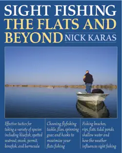 sight fishing the flats and beyond book cover image