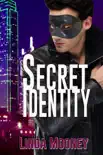 Secret Identity synopsis, comments