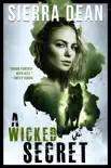 A Wicked Secret synopsis, comments