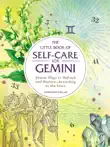 The Little Book of Self-Care for Gemini synopsis, comments