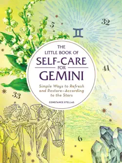 the little book of self-care for gemini book cover image