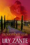 November Sun synopsis, comments