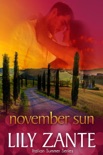 November Sun