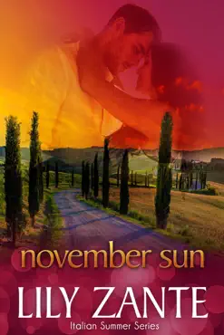 november sun book cover image