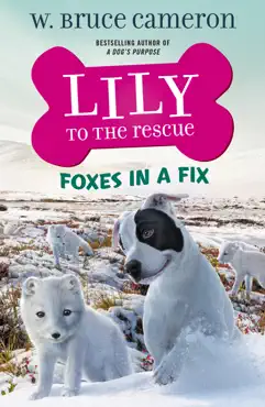 lily to the rescue: foxes in a fix book cover image