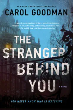 the stranger behind you book cover image
