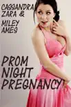 Prom Night Pregnancy synopsis, comments