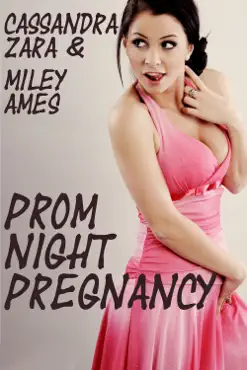 prom night pregnancy book cover image