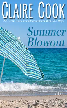 summer blowout book cover image