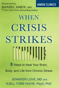 when crisis strikes book cover image