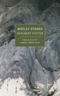motley stones book cover image