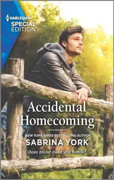accidental homecoming book cover image
