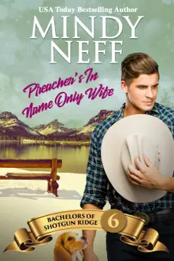 preacher's in-name-only wife book cover image