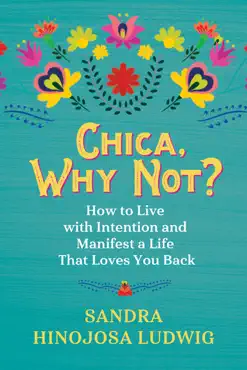 chica, why not? book cover image