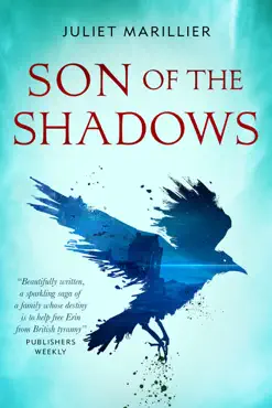 son of the shadows book cover image