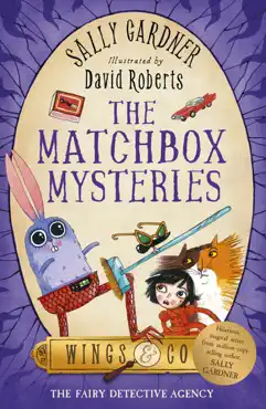 the matchbox mysteries book cover image