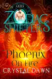 Phoenix on Fire synopsis, comments