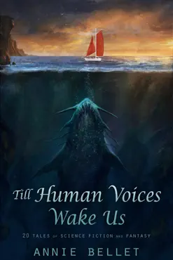 till human voices wake us book cover image