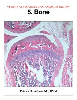 bone book cover image