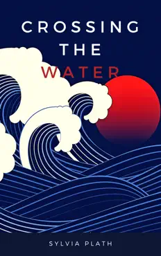 crossing the water book cover image