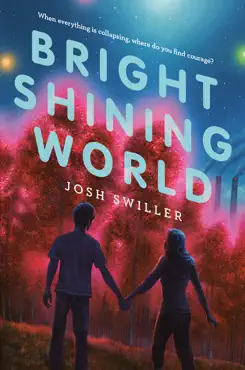 bright shining world book cover image
